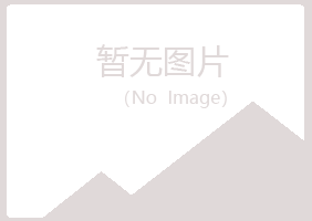 恒山区夏槐美容有限公司